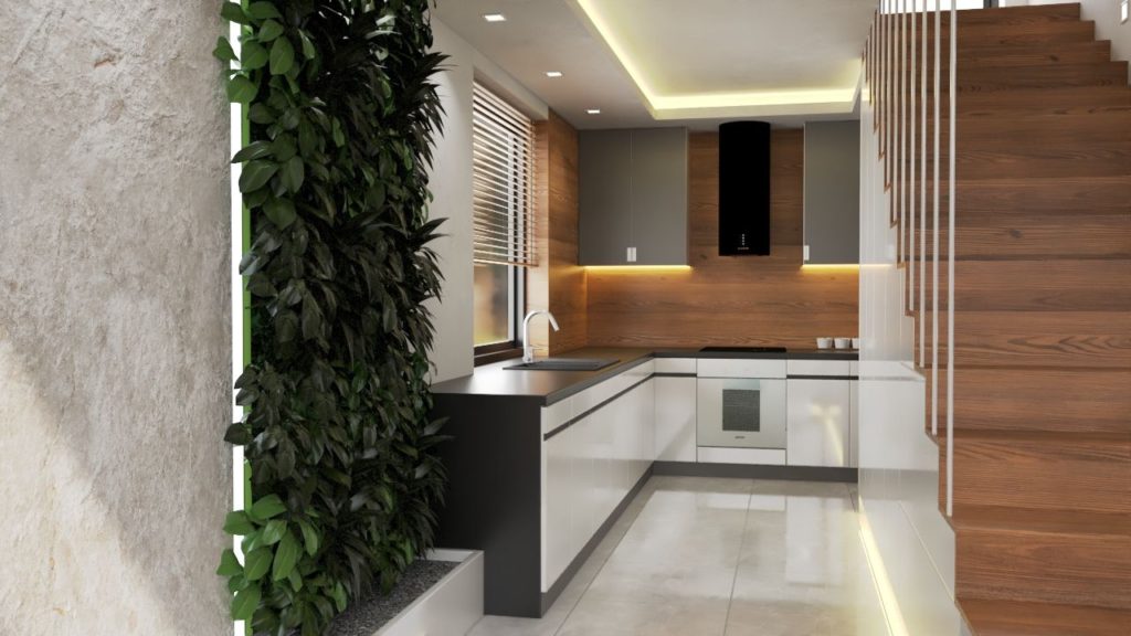 Roślinność we wnętrzu - trendy 2024