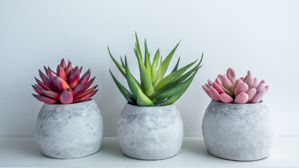 Betonowe doniczki – nowoczesne, minimalistyczne elementy dekoracyjne