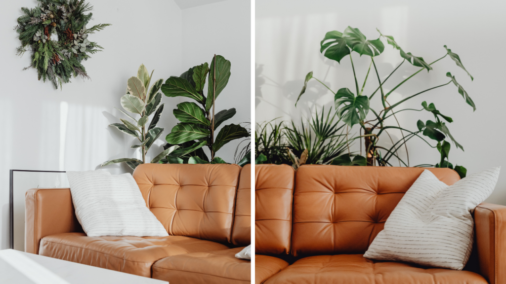 Projektowanie wnętrz inspirowane naturą – rośliny w roli głównej