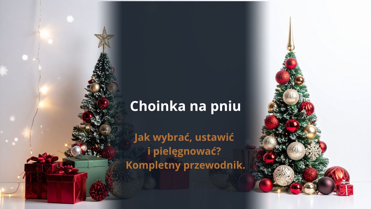 Choinka na pniu - jak wybrać, ustawić i pielęgnować? Kompletny przewodnik dla domu i ogrodu